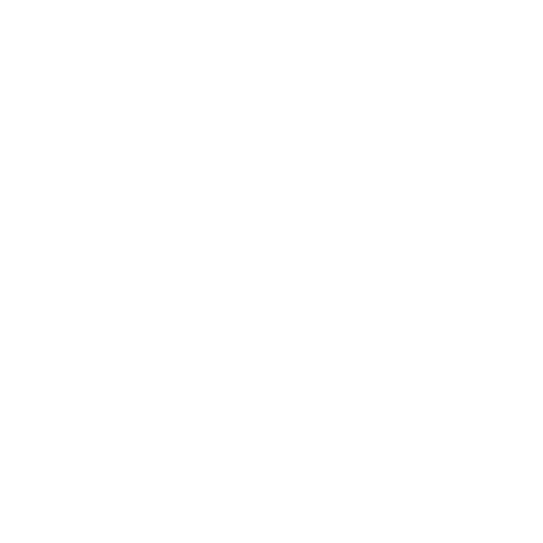 Min Ko Naing Portfolio Logo